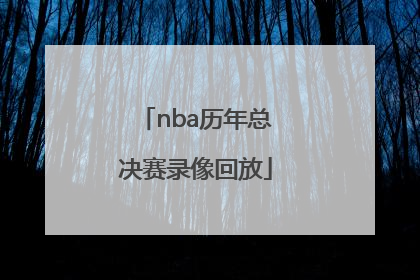 「nba历年总决赛录像回放」2004年NBA总决赛录像回放